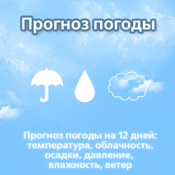 ������ ����� ����� - ������